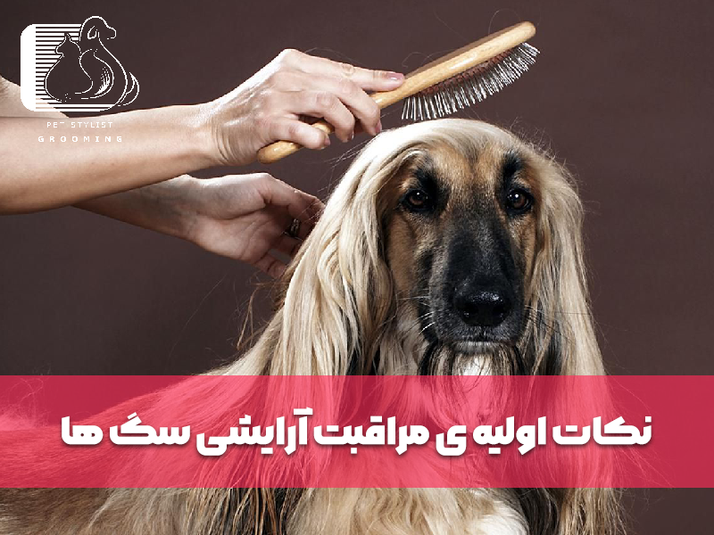 نکات اولیه ی مراقبت آرایشی سگ ها